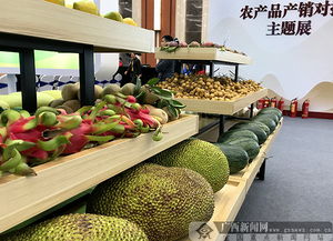 2018全國農產品產銷對接行廣西站活動舉行，食用油產業(yè)迎來新機遇